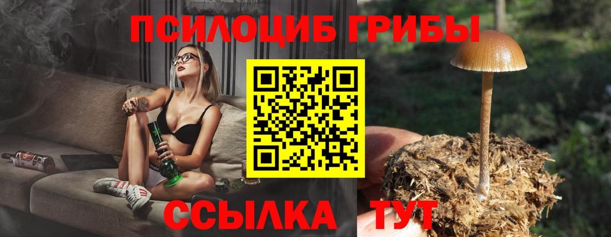 Кузнецк  Псилоцибиновые грибы мицелий  Вход с VPN 