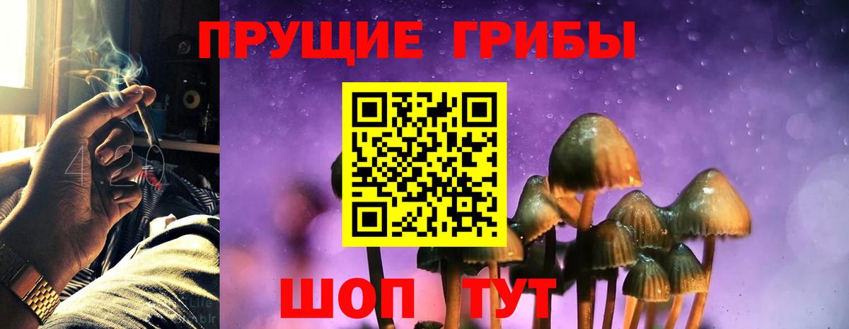 Галлюциногенные грибы Magic Shrooms Кузнецк